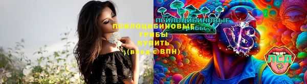 крисы Балабаново