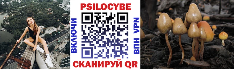 Галлюциногенные грибы прущие грибы  где продают наркотики  Пущино 